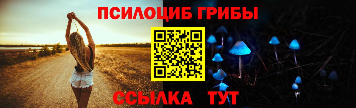 Галлюциногенные грибы прущие грибы Соликамск